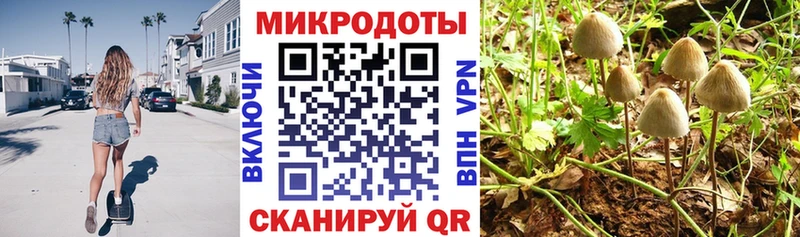 Псилоцибиновые грибы Psilocybine cubensis  гидра tor  Нахабино 